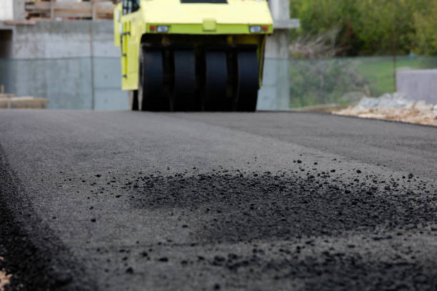 Best Custom Driveway Pavers  in Laurel Hill, NC